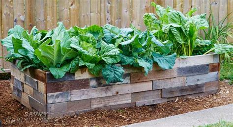 6 things to think about before preparing a raised bed garden