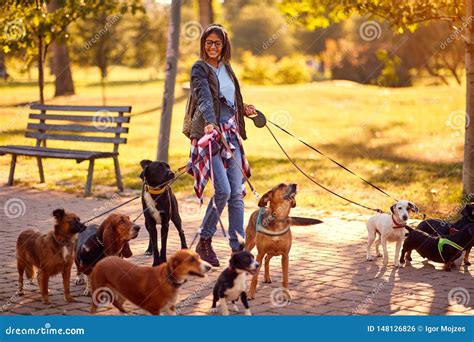 Professional Dog Walker Group Of Dogs With Woman Dog Walker Enjoying