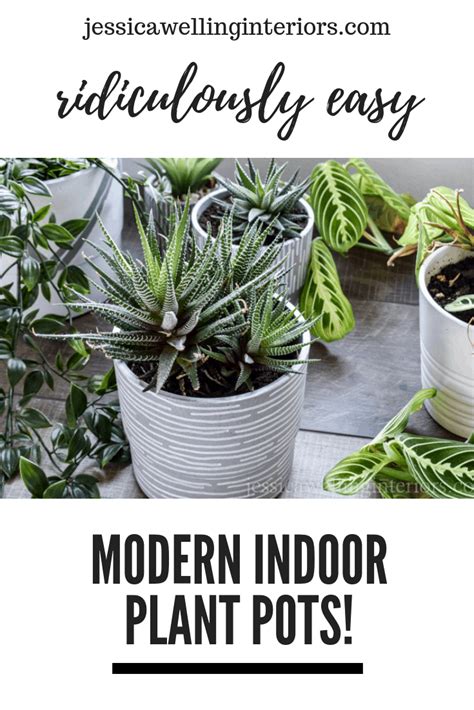 Jun 02, 2021 · the best indoor plants for cleaning the air include the money tree, snake plant and areca palm. Easy DIY Indoor Plant Pots! - Jessica Welling Interiors in ...