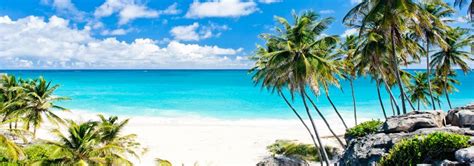 viajero turismo 8 razones para visitar barbados caribe