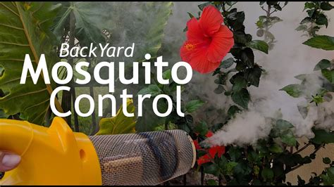 Here's advice on how to get rid of them. How To Get Rid of Mosquitoes In Your Yard and Landscape ...