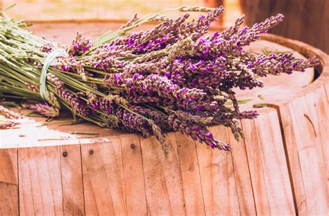 Lavender Cut Flowers On Wooden Barrel Stock Photo Image Of Detail