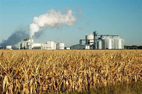 Ethanol plant in Himachal Pradesh to prove a boon for farmers