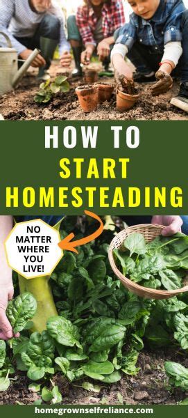 How To Start Homesteading No Matter Where You Live
