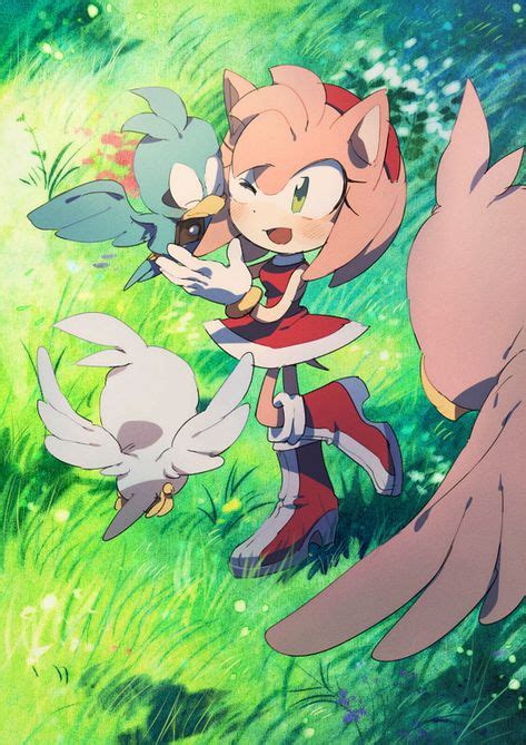 100 Sonic Ideas Sonic Sonic The Hedgehog Sonic And Amy