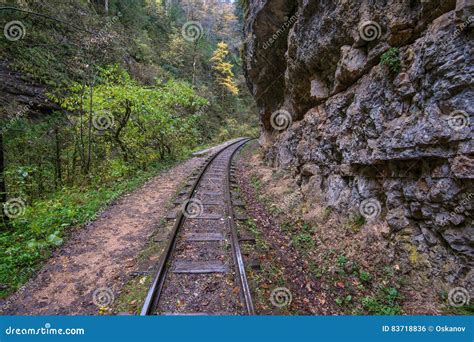 Railroad Tracks Cut Through Autumn Woods Stock Photo Image Of