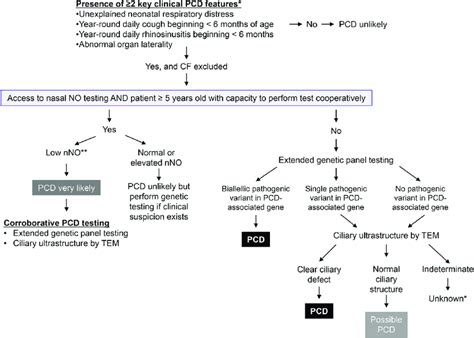 Algorithm For Diagnosing Pcd As Recommended By The 2018 American