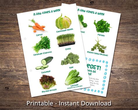 Guinea Pig Food List Printable Pdf Safe Fruits And Vegetables Etsy Uk