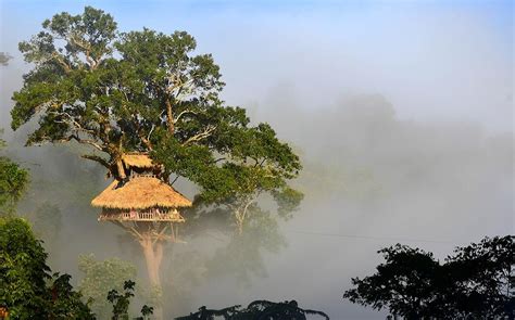 9 Amazing Tree House Hotels From Around The World