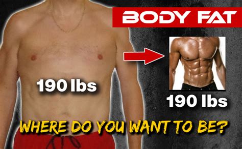 How To Find Out Ur Body Fat Staybite11