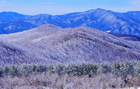 Fresh Snow In The Pisgah National Forest In The Blue Ridge Mountains Of Nc Near Asheville