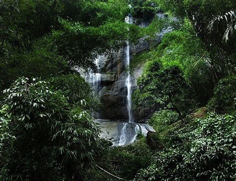 Kuningan juga punya tempat wisata yang menyediakan terapi pijat, namanya balong cigugur kuningan. Hutan Desa Setianegara - 46 Tempat Wisata Di Kuningan Jawa ...
