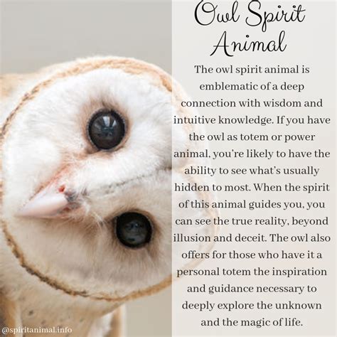 Owl Spirit Animal Owl Totem Meaning Owl Spirit Animal Spirit