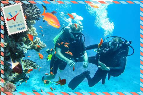 Sharm El Sheikh Diving Vacations In Egypt