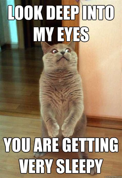 Look Deep Into My Eyes Cat Meme Cat Planet Cat Planet