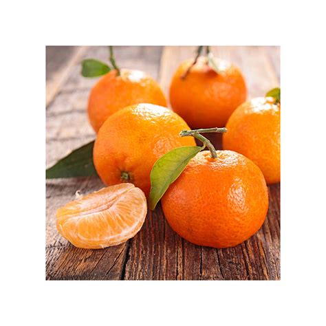 Mandarina Clementina - Casa Magí