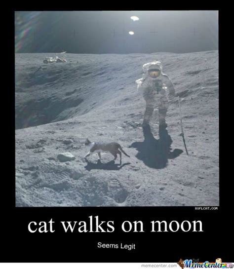 When the time comes that you need help with a tax break or a regulatory change, i hope the democrats take your calls, because we may not. Cat Walks On Moon by Cherry - Meme Center