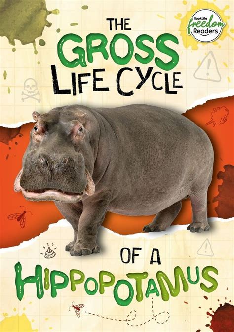 Buy The Gross Life Cycle Of A Hippopotamus By William Anthony With Free