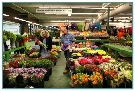 Whether you are you new to the area or are just looking for the wholesale flowers close by you have come to the right place. Wholesale Flowers Near Me | Home Improvement