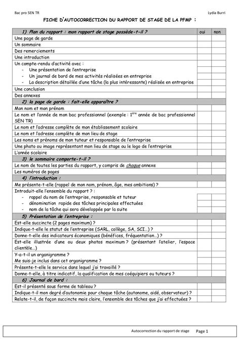 Rapport De Stage Informatique Bac Pro Sen