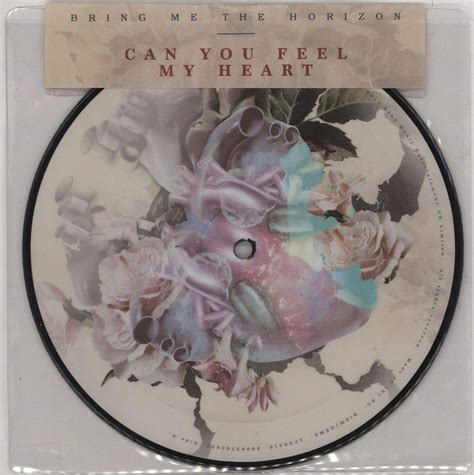 Can You Feel My Heart Vinyl Single Amazonde Musik Cds And Vinyl