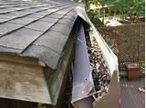 Images of Roof Gutter Cost