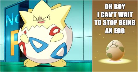 Pokémon 10 Hilarious Day Care Breeding Memes Only Real Fans Will