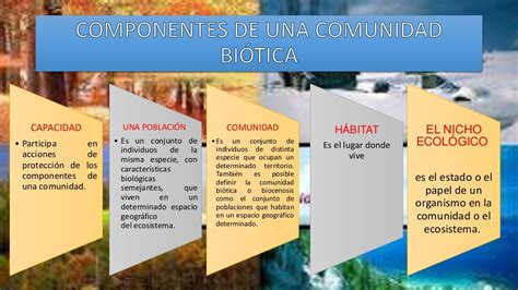 Comunidad Biotica