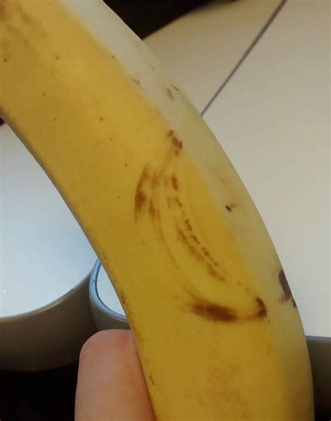 Banana On A Banana Mildlyinteresting