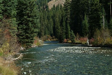 Free Campgrounds North Fork Imnaha River In Wallowa Whitman National