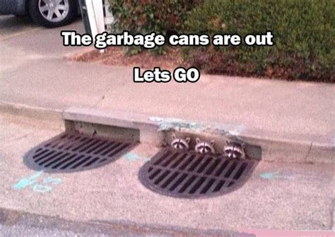 Water and air the two essential fluids on which all life depends have become global garbage cans. Garbage cans are out