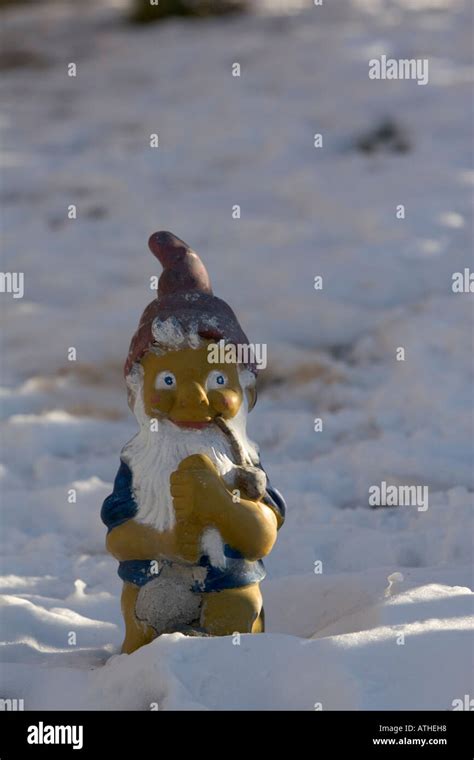 Garden Gnome In Snow Stock Photo Alamy