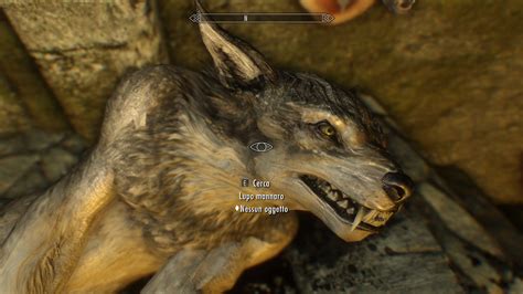 Dead Werewolf At Skyrim Nexus Mods And Community