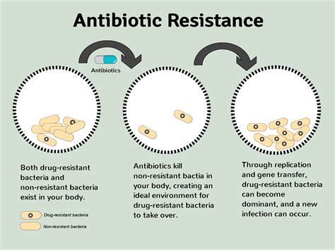 Why Is The Antimicrobial Stewardship Program Important