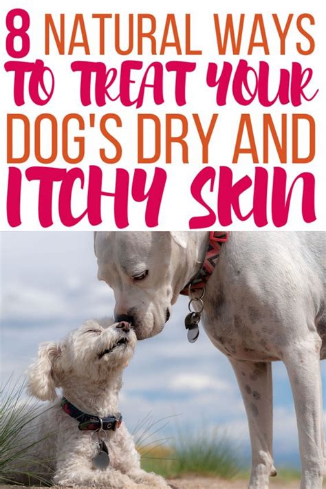 They might be allergic or have skin allergies with dry, itchy skin. Pin on Best of Dogs N' Stuff