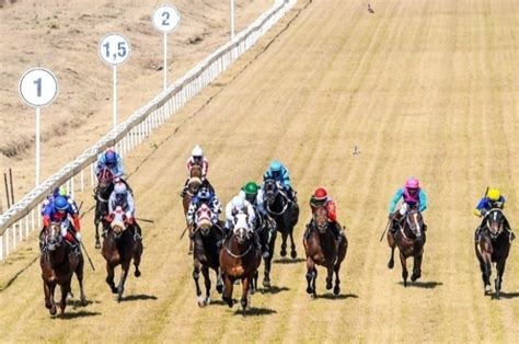 Vaal tips