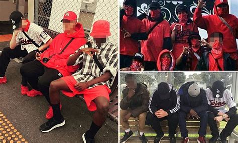 New Melbourne Gang The Reds Imitating The Crips And Bloods