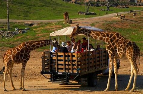 San Diego Zoo Safari Park Info Tickets Hours Directions
