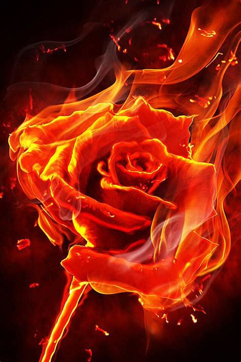 A Rose Caught On Fire That Is Awesome Rose On Fire Fire Art Flame Art