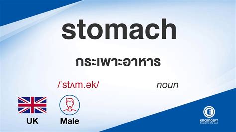 สะกดชื่อภาษาอังกฤษไม่ใช่เรื่องที่ยุ่งยากเลย แค่เอาตัวอักษรที่เทียบกันแล้วจากภาษาไทย เป็นภาษาอังกฤษ แล้วก็เอามาต่อๆกัน ก็จะได้ชื่อเป็น. stomach ออกเสียงว่า แปลว่า อะไร แปลภาษาอังกฤษเป็นไทย By ENCONCEPT Dictionary - YouTube