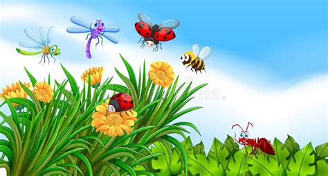 Insects Living In The Garden Stock Vector Illustration Of Background