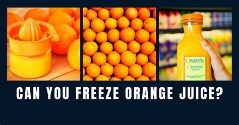 Can You Freeze Orange Juice Heres How To Do It Right