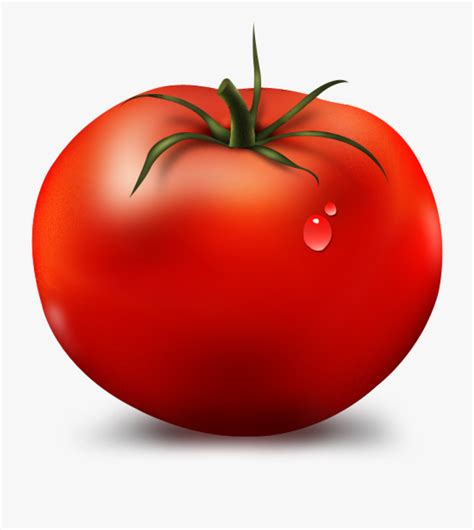 Red Tomato Clipart 10 Free Cliparts Download Images On Clipground 2023