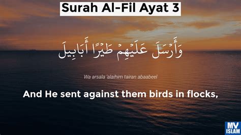 Translation And Tafsir Of Surah Al Fil Muslim Memo Riset