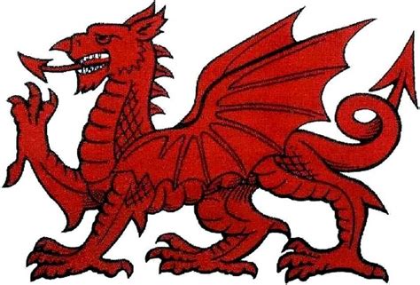 Welsh Dragon 2 Welsh Dragon Types Of Dragons Welsh Tattoo