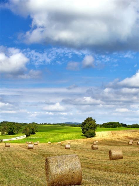 Free Download Farm Field Nature Landscape Hay Summer Cloudy Sky