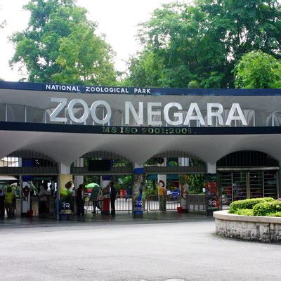 Pembelian tiket combo 2 adults + 1 children sangat jimat. Zoo Negara lengang. "Bayar tiket mahal tapi binatang kurus ...