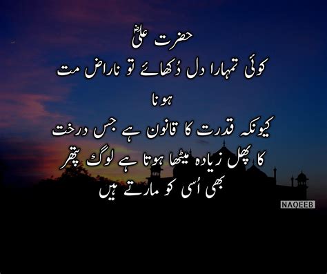 Pin On Hazrat Ali Quotes In Urdu My Xxx Hot Girl