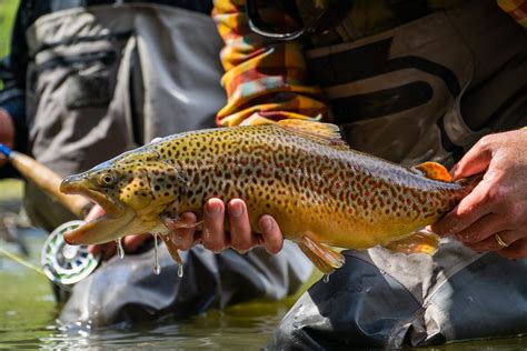 Fly Rod Chronicles With Curtis Fleming Home