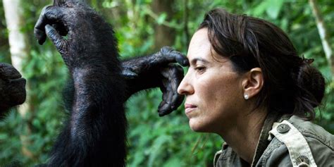 Dr Rebeca Atencia A True Chimp Champion